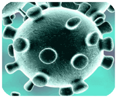 PS高文《马拉松》PC超神优化！1050Ti都能玩