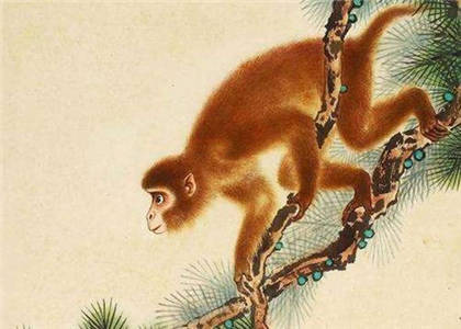 属猴人的住宅风水