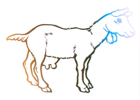 属羊人2020年健康运如何