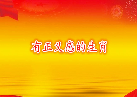 什么生肖很有正义感