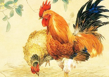 属鸡一生财运如何