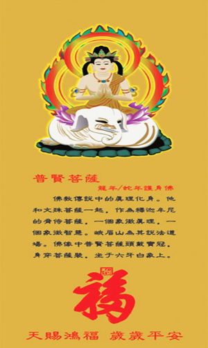 属龙属蛇的本命佛