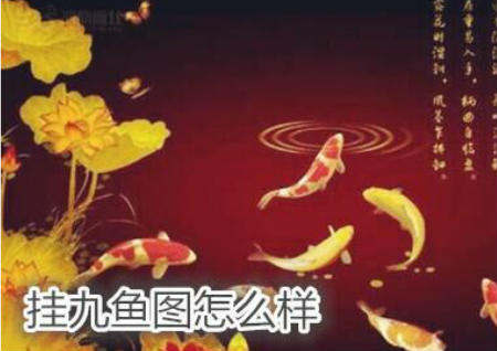 挂九鱼图怎么样