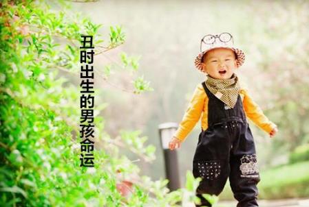 丑时出生的男孩命运