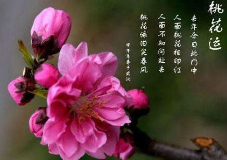桃花运快速催旺的方法