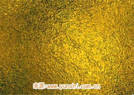 金箔金命是什么运势