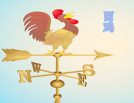 生肖属鸡的人长相如何