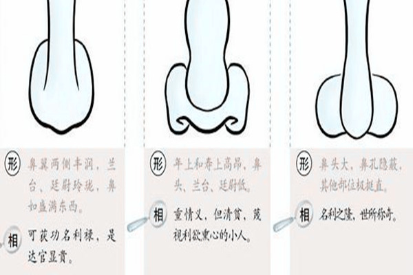 面相看鼻子