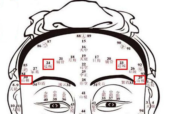 额头看面相图片