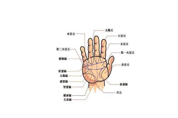 手相入门教程