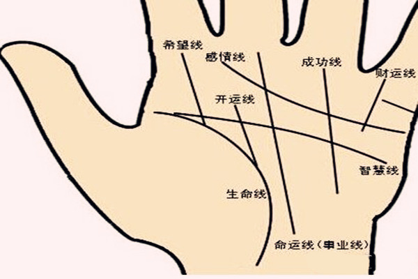 手相掌纹介绍