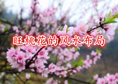 旺桃花运的风水布局