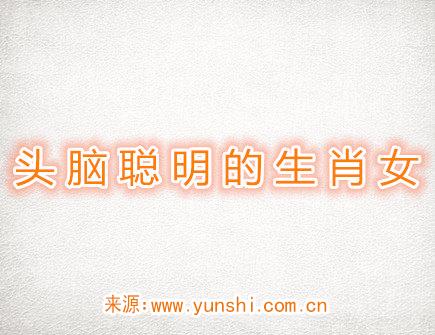 头脑.jpg
