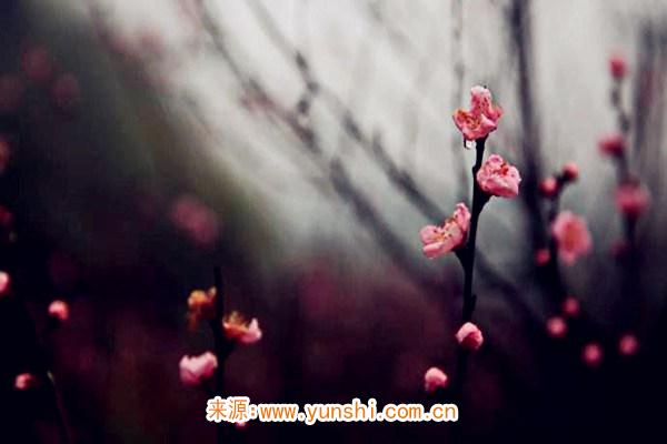 犯烂桃花痣长在哪