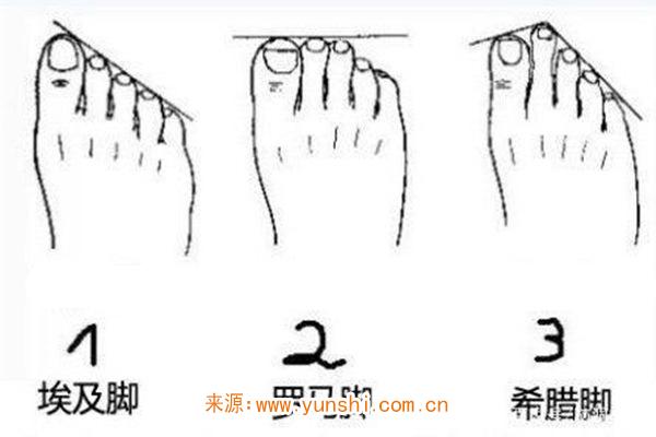 男人脚型看命运图解图片