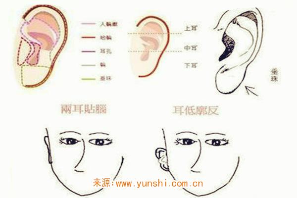 富贵相的人耳朵特征