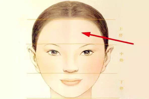 天庭饱满女人的命运