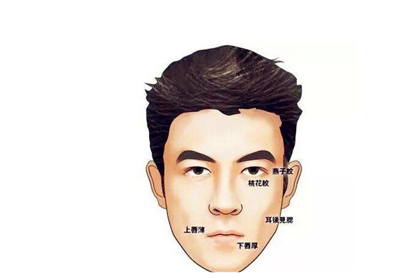 桃花旺男人长什么样
