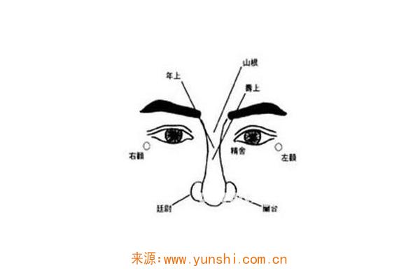面相五官之鼻子的看法