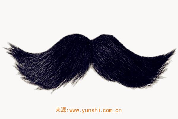 男人八字胡好吗