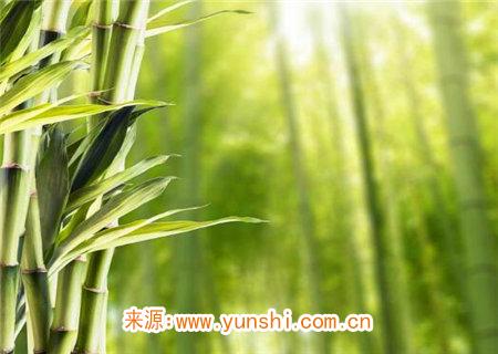 盲派推八字日干的几个口诀
