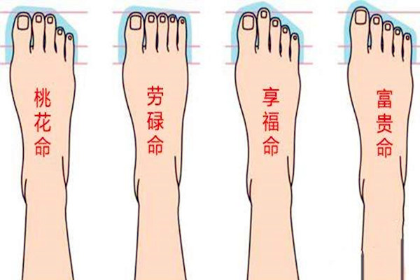 脚趾长短看运势