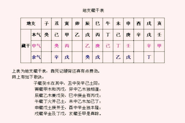 地支藏干表图图片