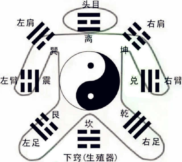 八卦代表人体的部位是什么？