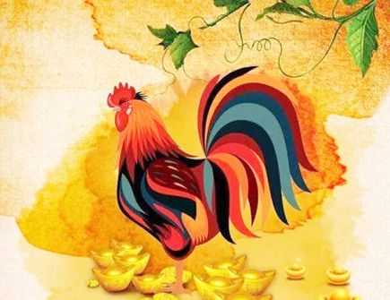 属鸡人几岁财运会变好