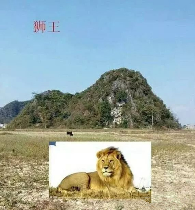 什么是喝形取象？