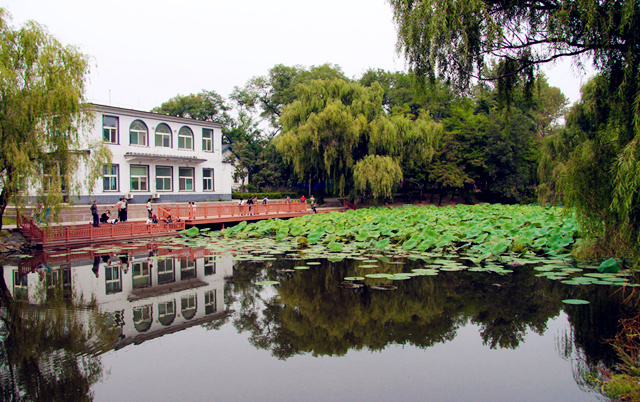池塘在什么方位修建好？