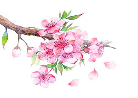 易招烂桃花的女命八字