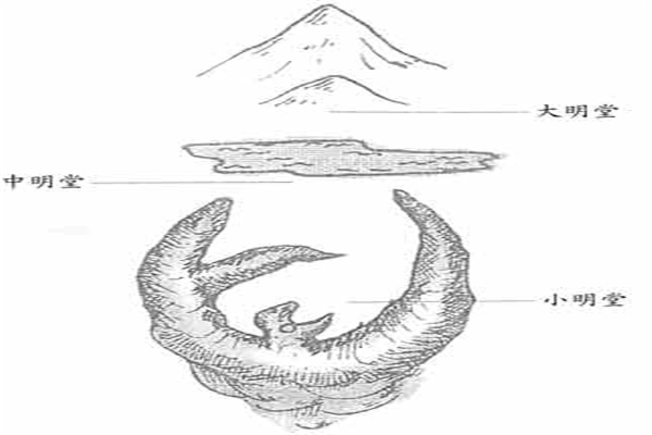 墓地的明堂的分类