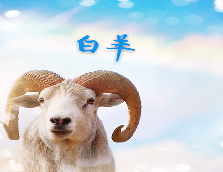 什么生肖和属羊人相克