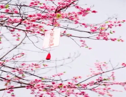 情人节桃花运的风水布局