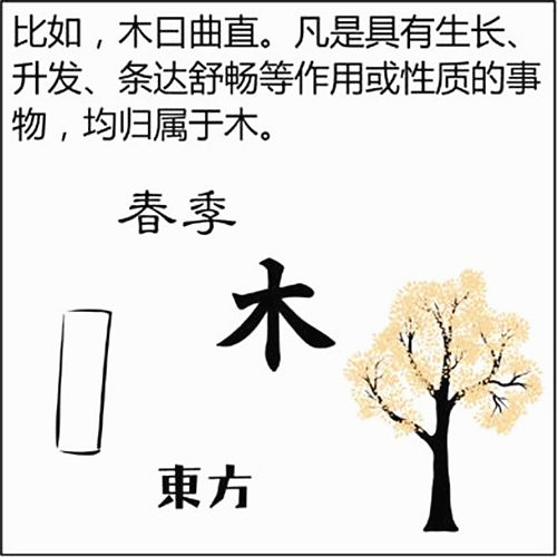 八字五行、木