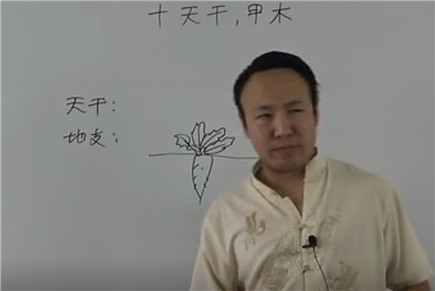 十天干、甲木