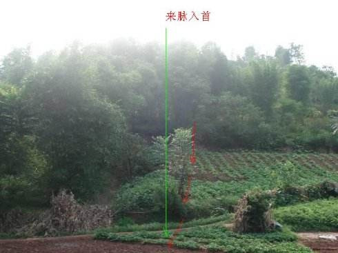 八字看祖坟阴阳宅.jpg