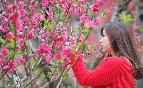 八字怎样看桃花运.jpg