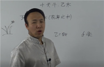 十天干、乙木