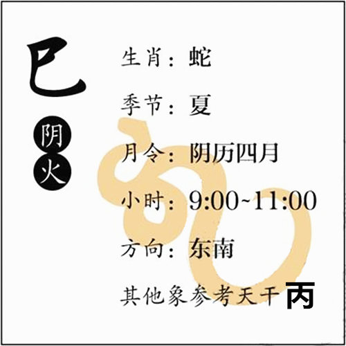 十二地支、巳火