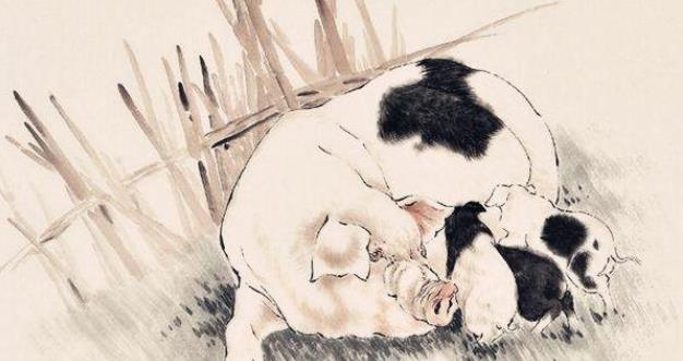 1971年出生的人是什么命.jpg