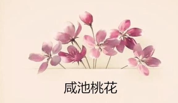 桃花咸池图片