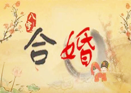 八字合婚要看属相吗.jpg