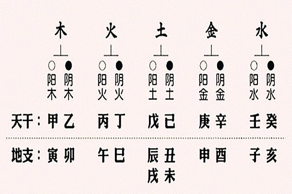 八字入门之干支阴阳关系