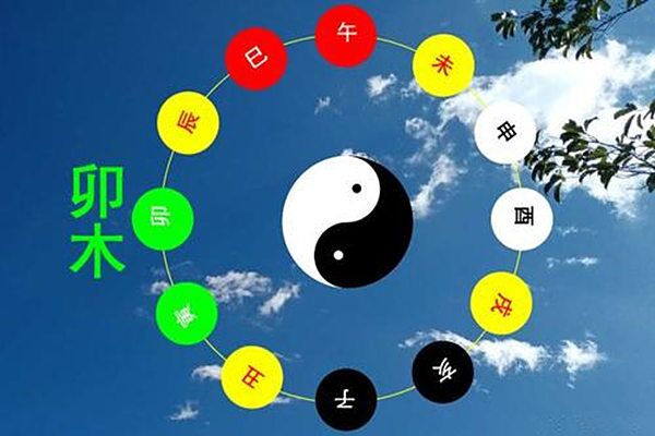 八字十二地支卯木