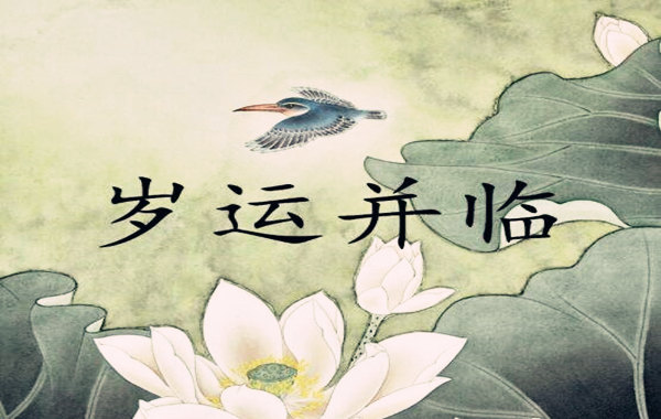 岁运并临后的人生是好是坏