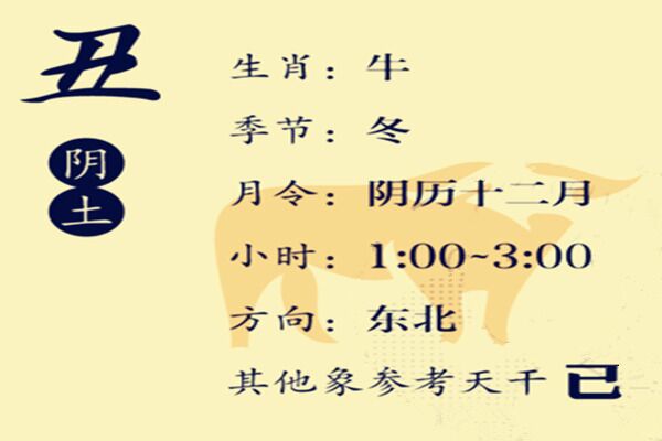 八字十二地支丑土