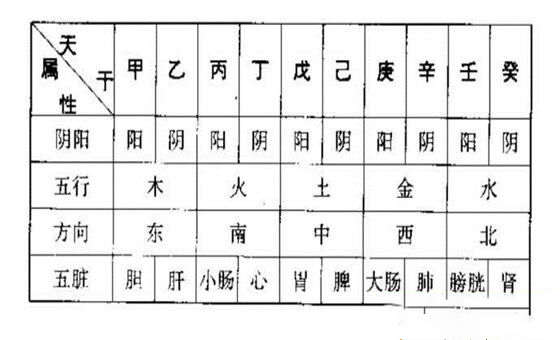 十天干详解