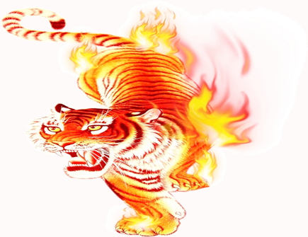 属虎人想要什么样的人生